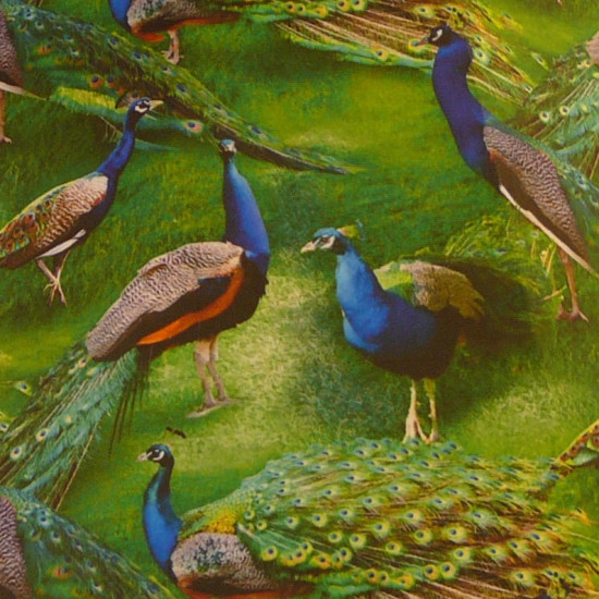 Green Peacock Fabric