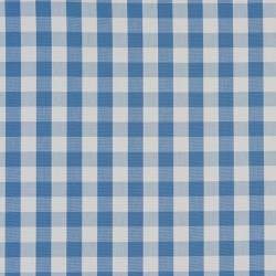Cornflower Blue Gingham Swatch Cornflower Blue Gingham Swatch