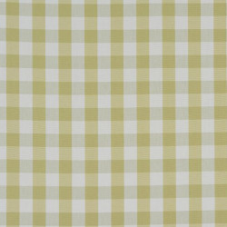 Pampas Green Gingham Check Swatch Pampas Green Gingham Check Swatch