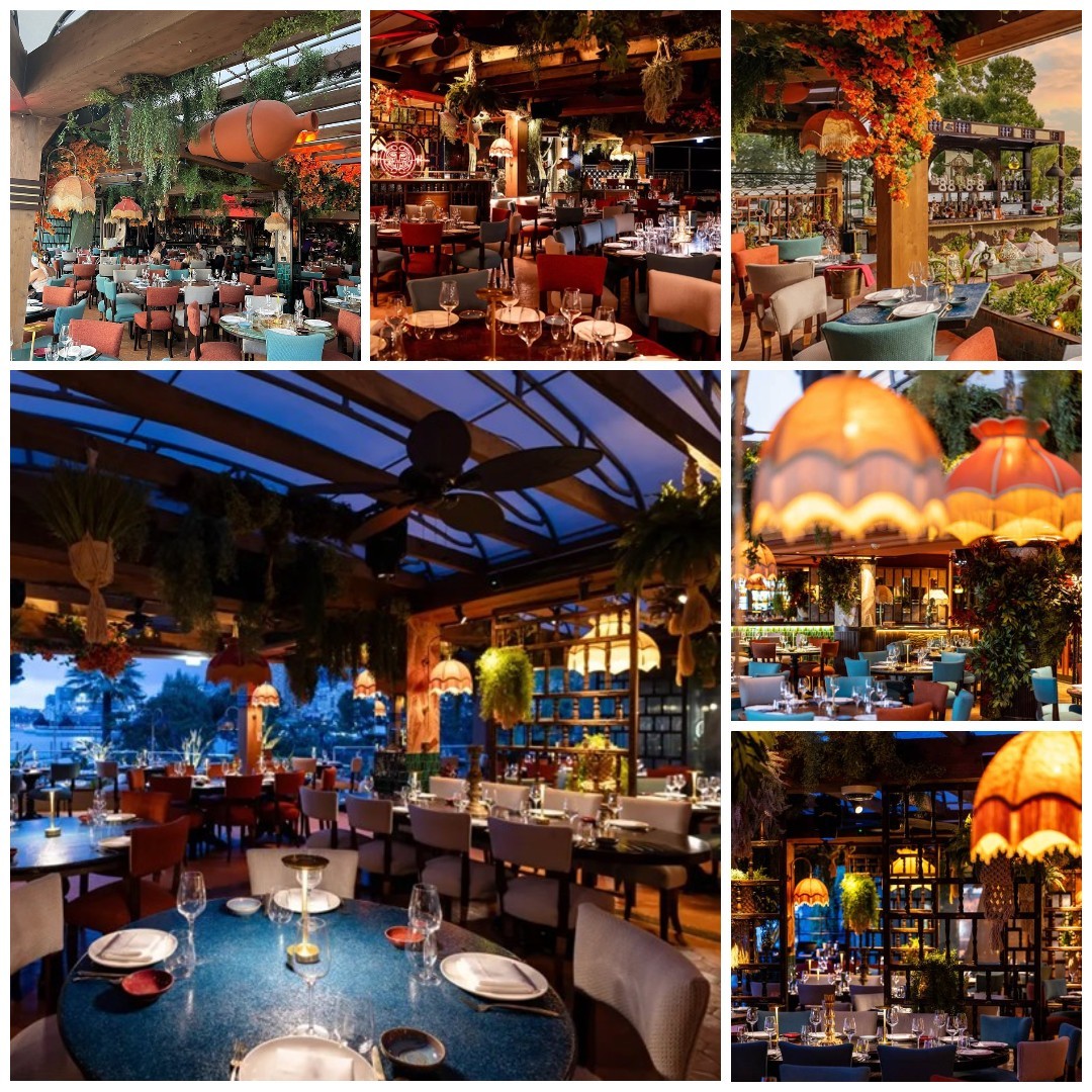 COYA Monte-Carlo Lampshades